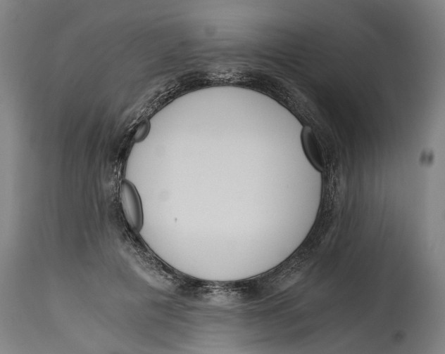 X0000114590601200911161333