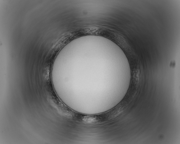 X0000114590602200911161333