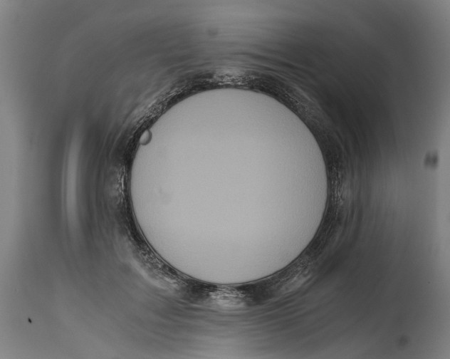 X0000114590603200911161333