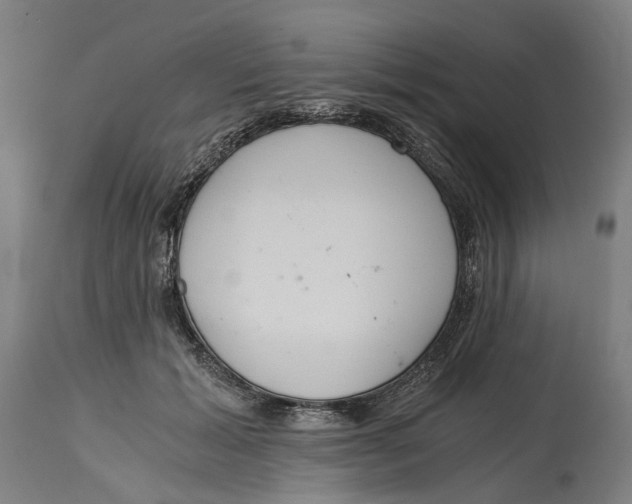 X0000114590605200911161333