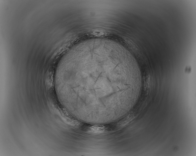 X0000114590606200911161333