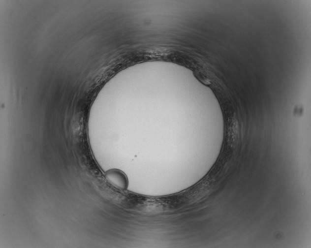 X0000114590608200911161333