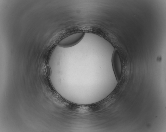 X0000114590609200911161333