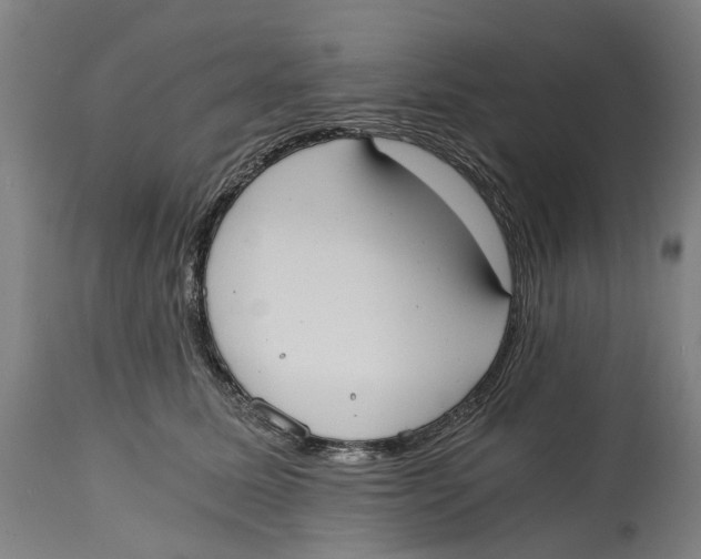 X0000114590611200911161333