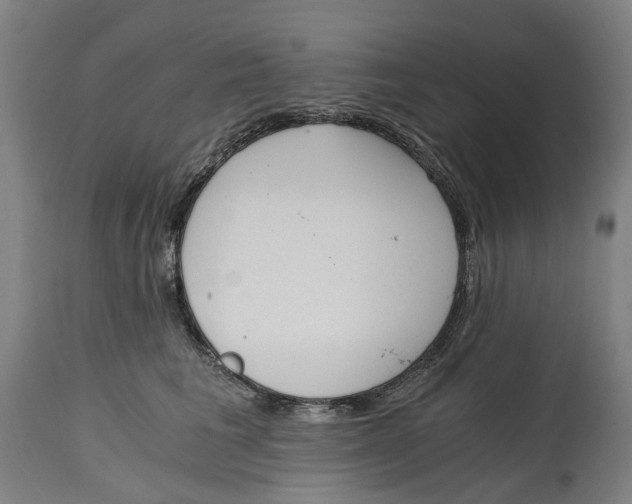 X0000114590613200911161333