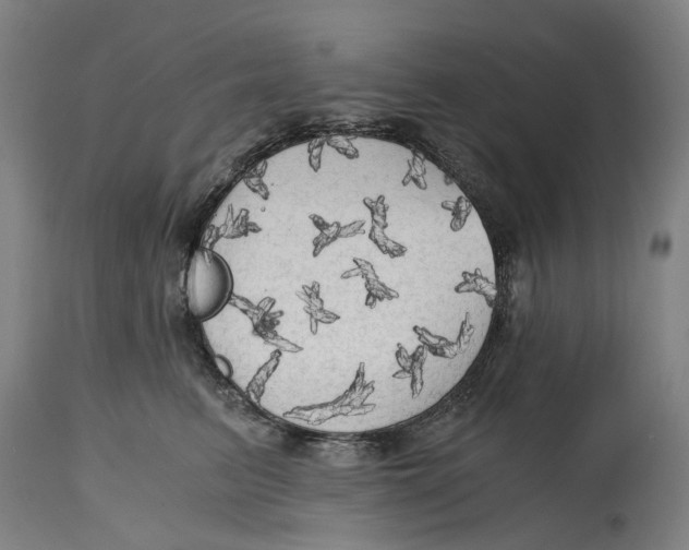 X0000114590615200911161333