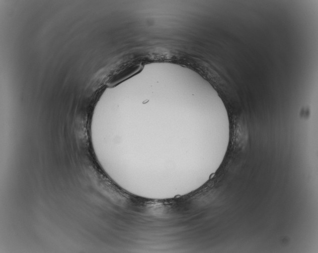 X0000114590616200911161333