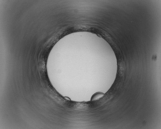 X0000114590617200911161333