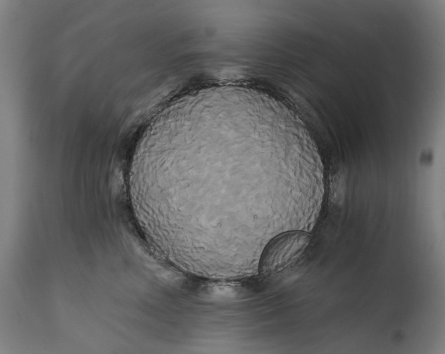 X0000114590618200911161333