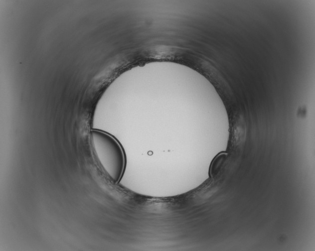 X0000114590620200911161333