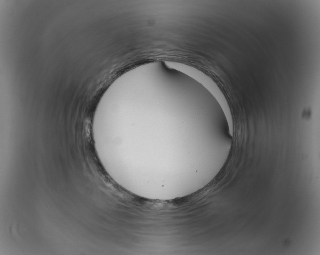 X0000114590621200911161333