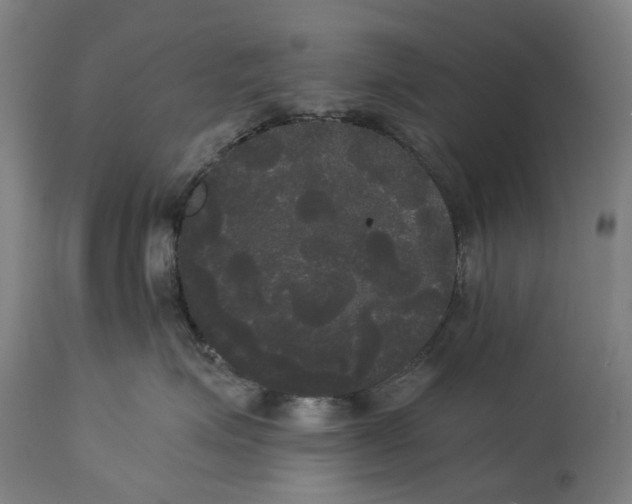 X0000114590623200911161333