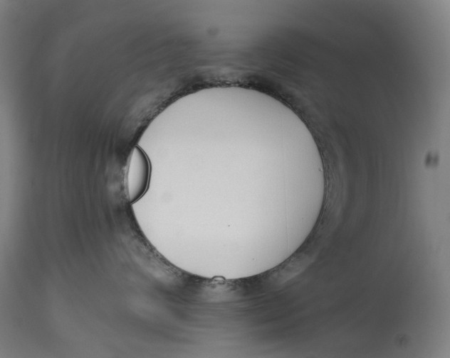 X0000114590624200911161333