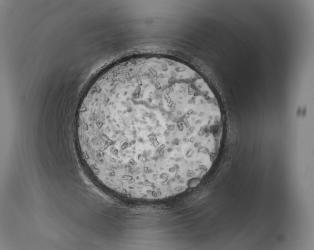 X0000114590625200911161332