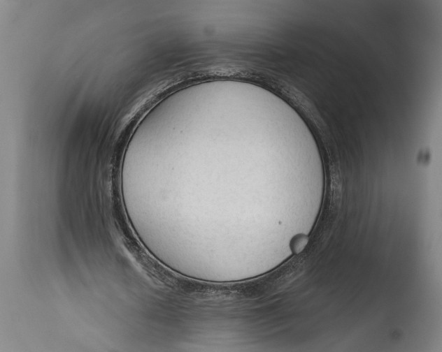 X0000114590626200911161332