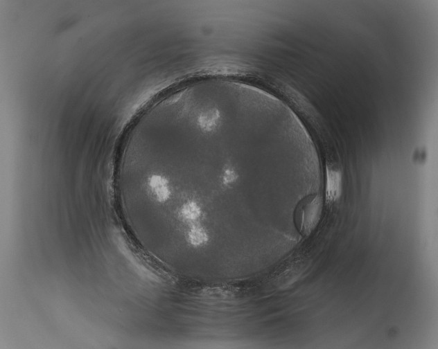 X0000114590627200911161332