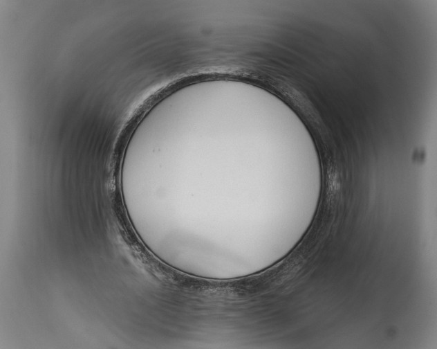 X0000114590628200911161332