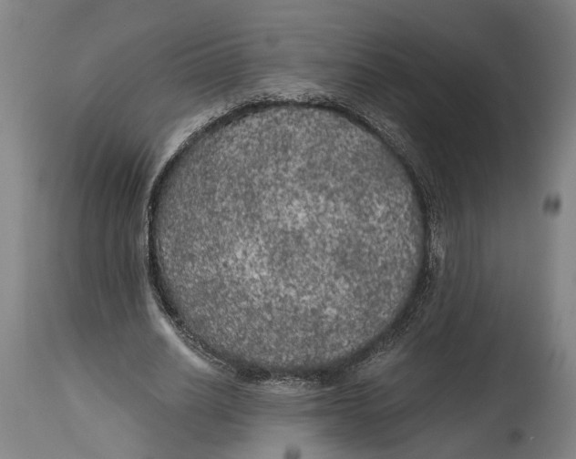 X0000114590630200911161332