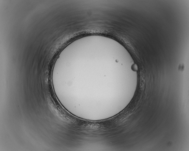 X0000114590631200911161332