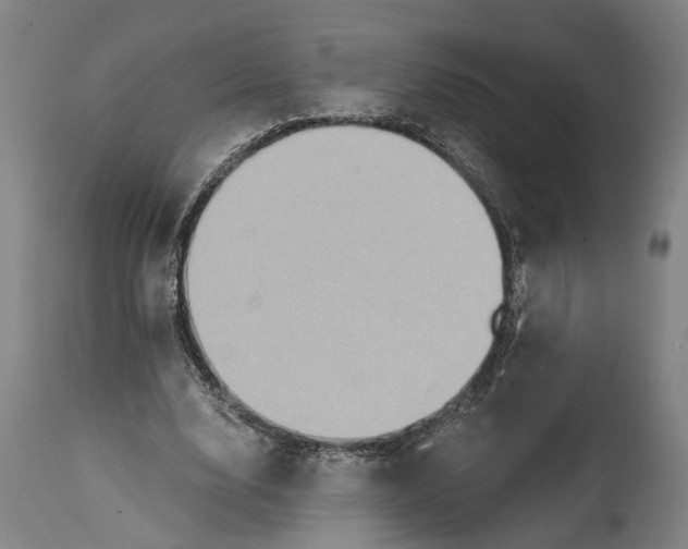 X0000114590632200911161332