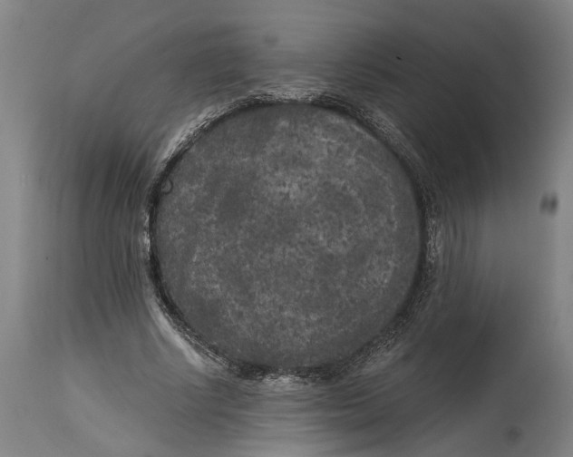 X0000114590634200911161332