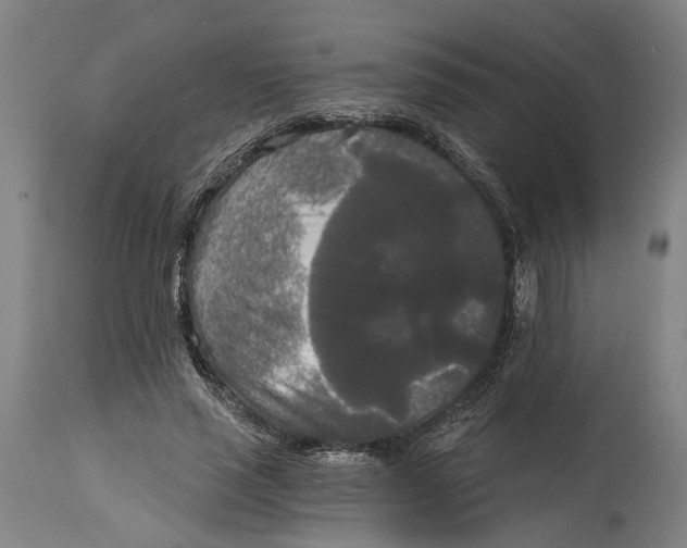 X0000114590637200911161332