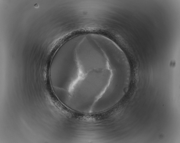 X0000114590640200911161332