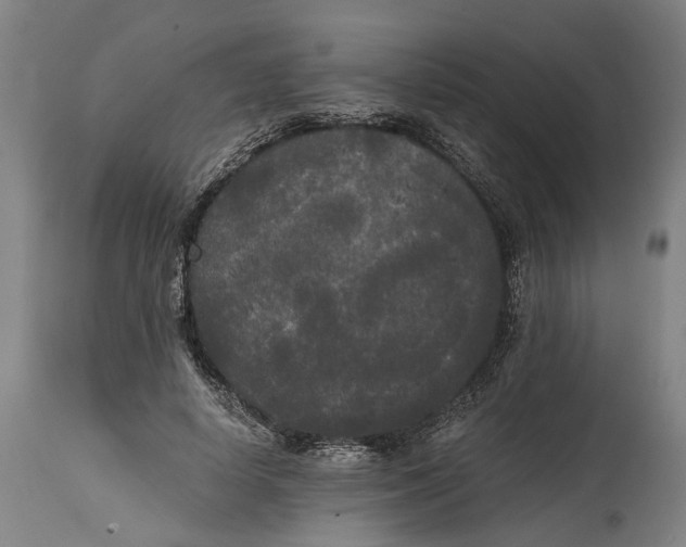 X0000114590642200911161332