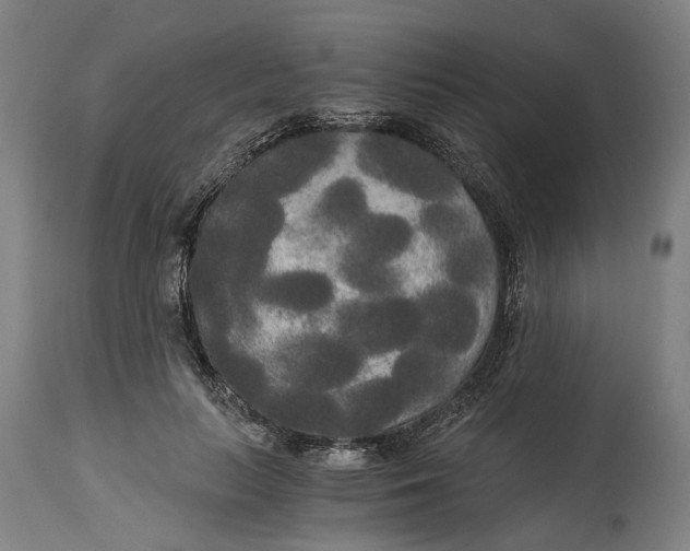 X0000114590647200911161332