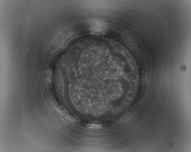 X0000114590649200911161332