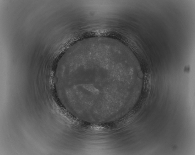 X0000114590650200911161332