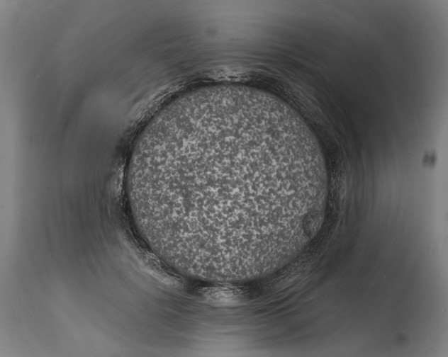 X0000114590652200911161332