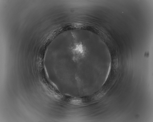 X0000114590653200911161332