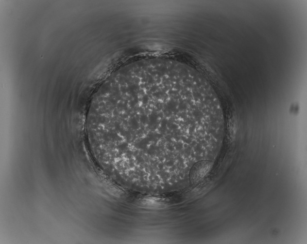 X0000114590657200911161333