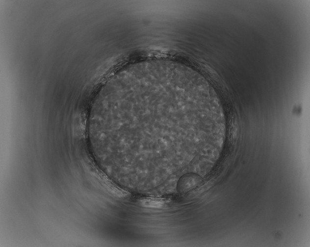 X0000114590661200911161333