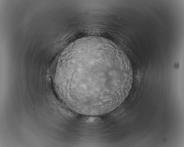 X0000114590663200911161333