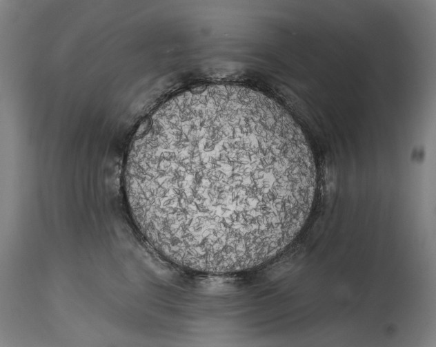 X0000114590664200911161333