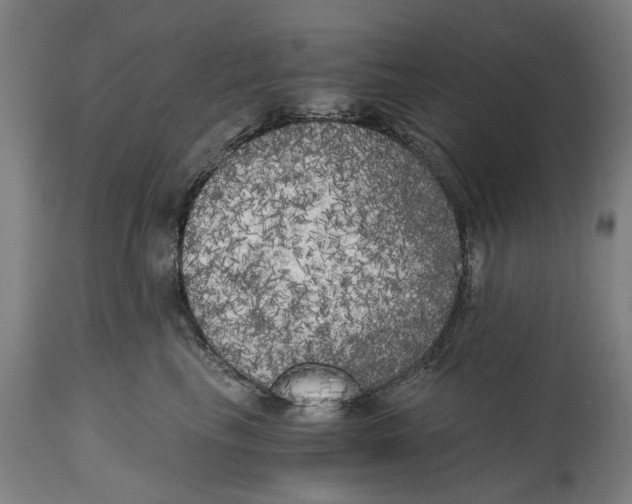 X0000114590665200911161333