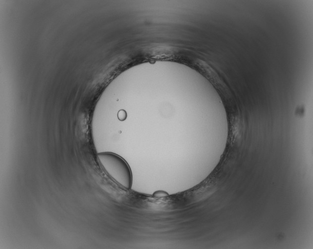 X0000114590667200911161333