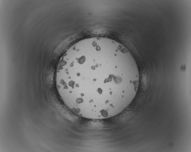 X0000114590668200911161333