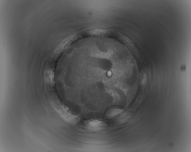 X0000114590669200911161333