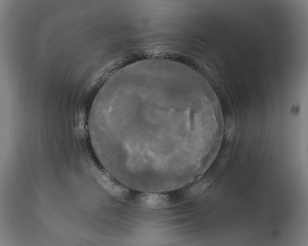 X0000114590670200911161333