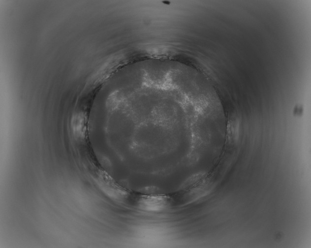 X0000114590671200911161333