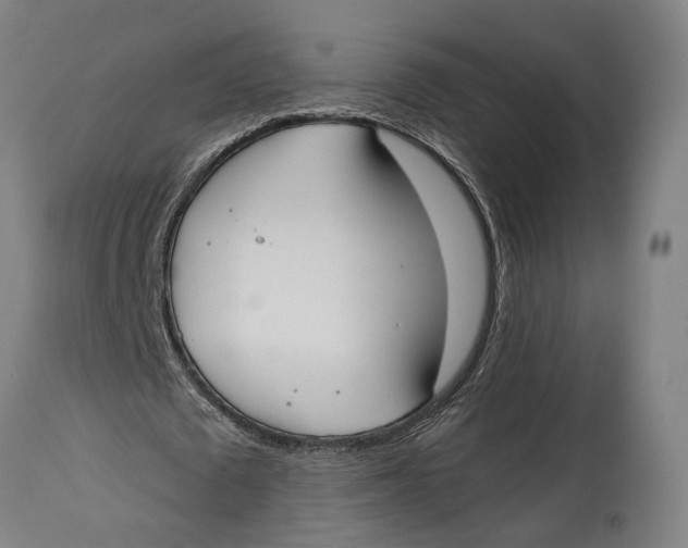 X0000114590673200911161332