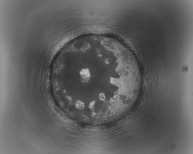 X0000114590679200911161332