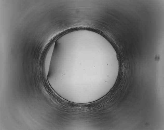 X0000114590680200911161332