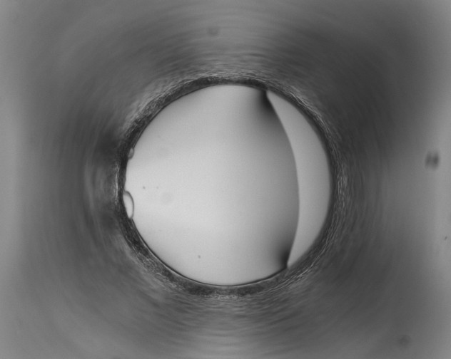 X0000114590685200911161332