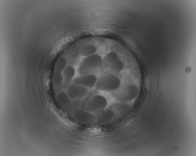 X0000114590687200911161332