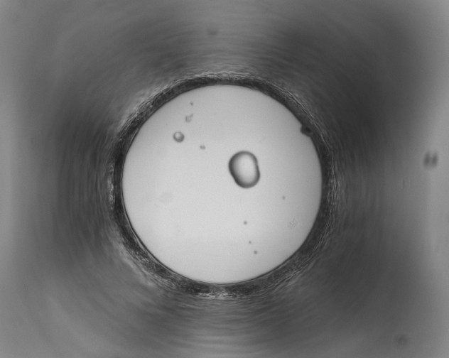 X0000114590688200911161332