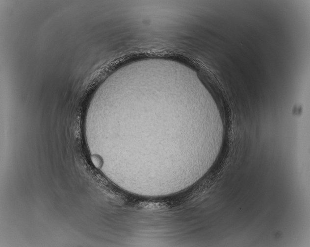 X0000114590689200911161332